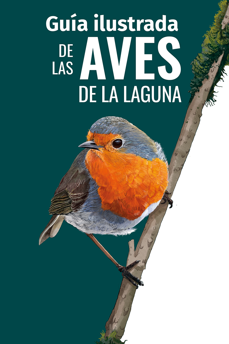 guía ilustrada de aves