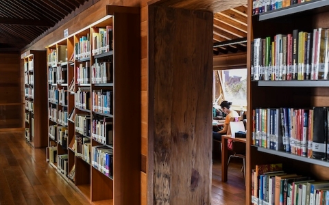 Biblioteca Pública Adrián Alemán_2