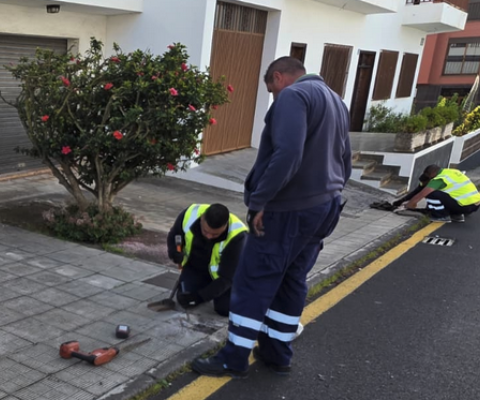 Captura de pantalla 2026-02-16 a las 13.07.02