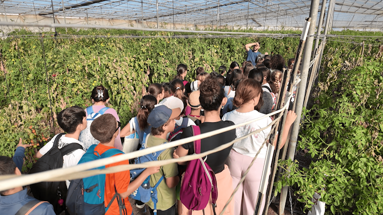 Proyecto escolares 2