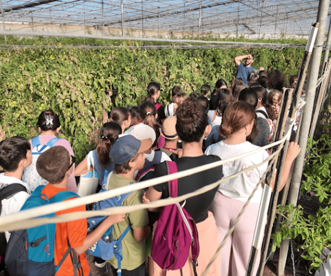 Proyecto escolares 2