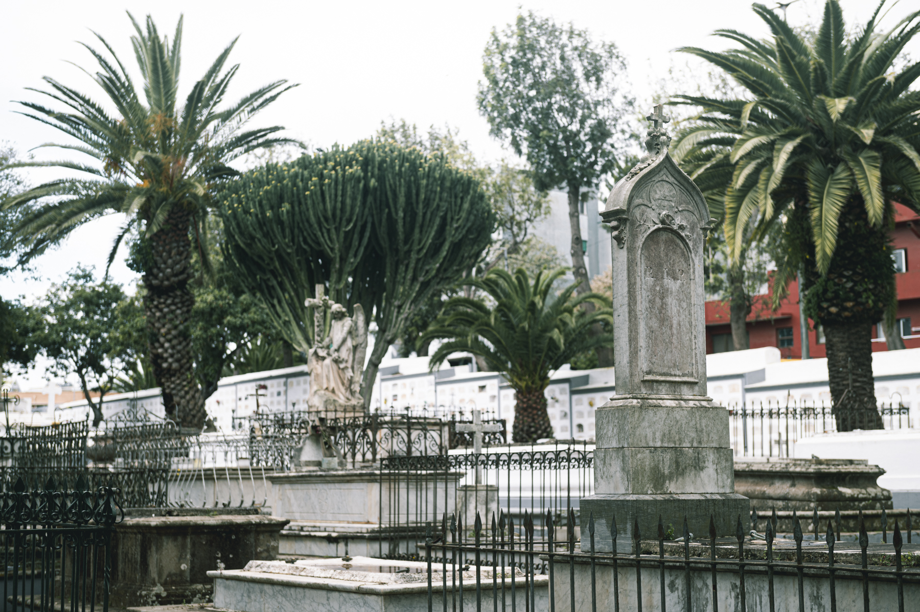 _SAN6915