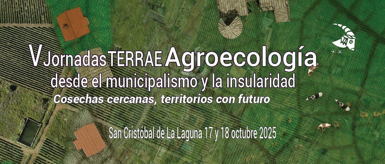 Banner V Jornadas Terrae