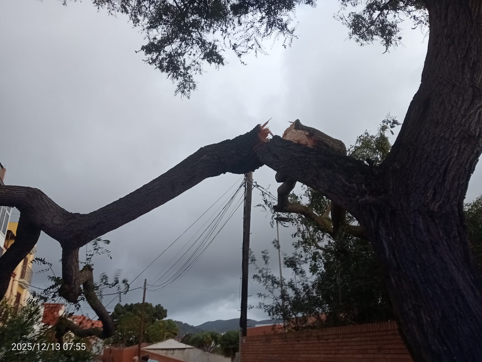 Incidencias temporal_1