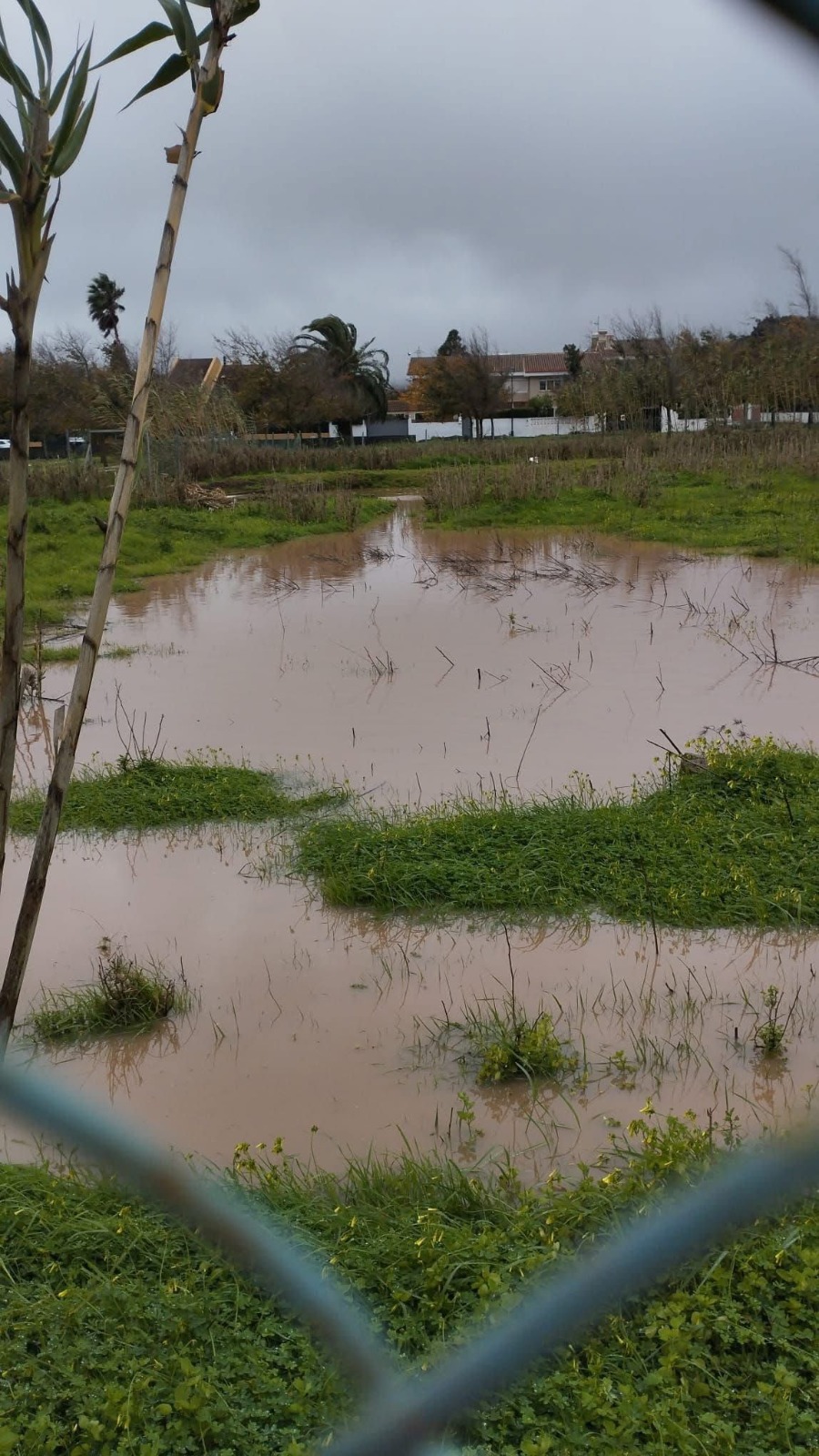 Lluvias Vega Lagunera