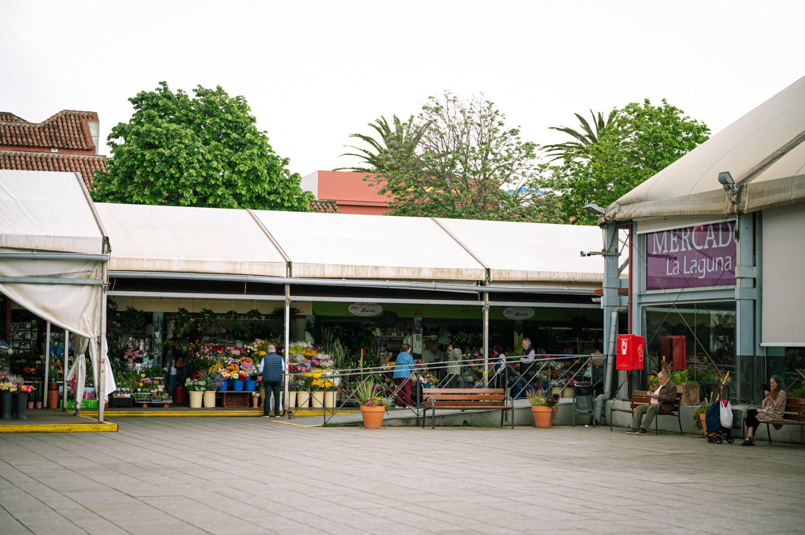 Accesibilidad Mercado de La Laguna_3