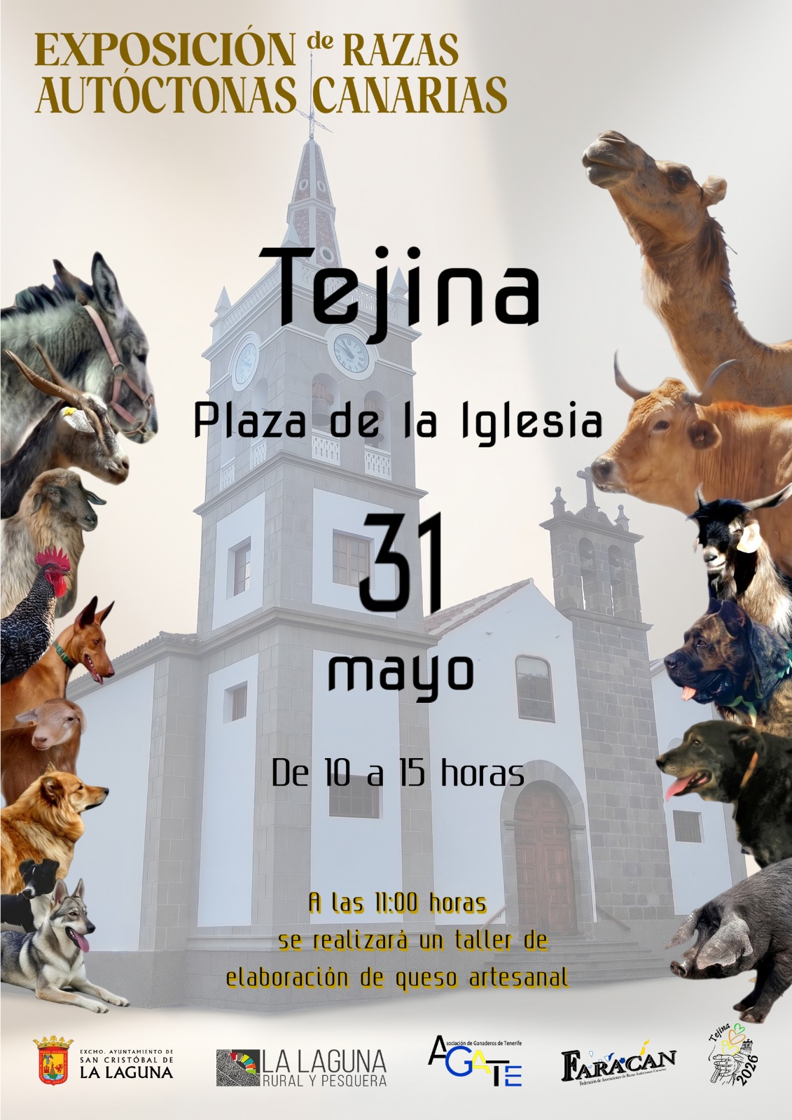Muestra de razas autóctonas Tejina